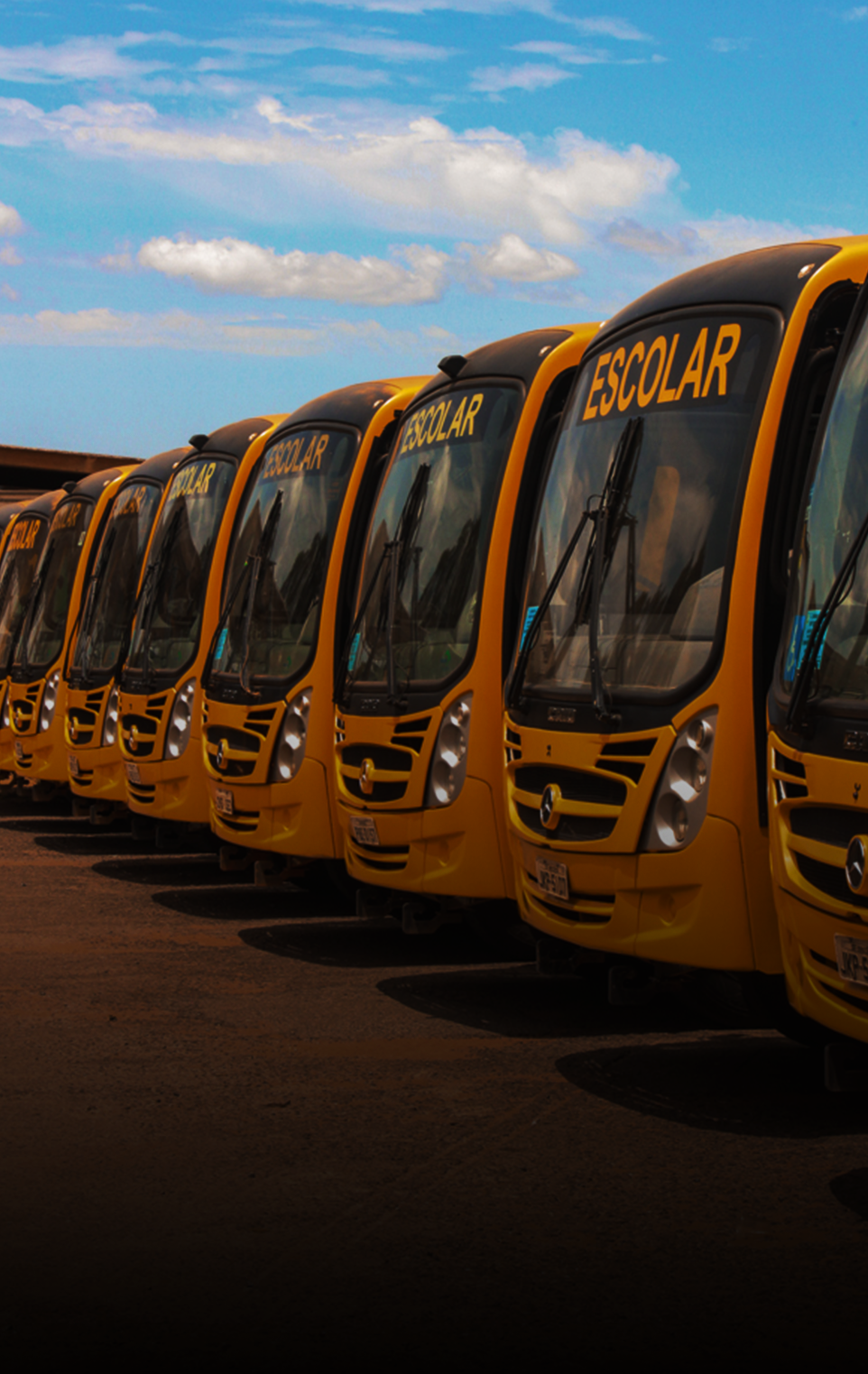 Monitor de Transporte Escolar